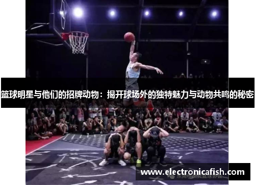 篮球明星与他们的招牌动物：揭开球场外的独特魅力与动物共鸣的秘密